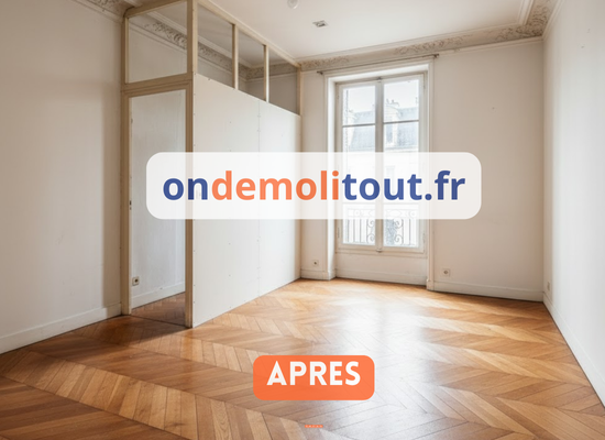 Appartement 75m² Paris 15ème après curage complet - grand espace ouvert lumineux avec murs bruts prêts pour rénovation