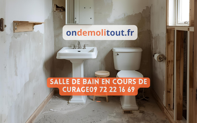 Curage d'une salle de bain à Paris - dépose sanitaires et faïence