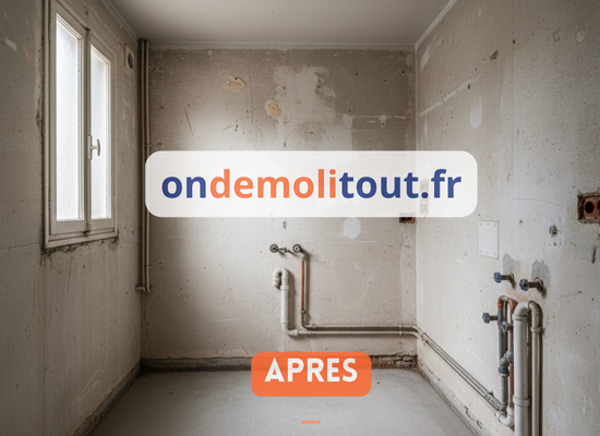 Salle de bain 8m² après démolition complète Paris 11 - pièce vide avec murs bruts et sol béton prêts pour nouvelle installation